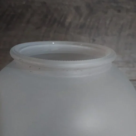 Lamp Shade Frosted Glass Ceiling Light Fixture Globe Stem Berries 3.25" Fit. - Picture 10 of 11